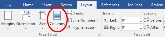 screenshot of Columns options in Page Setup panel