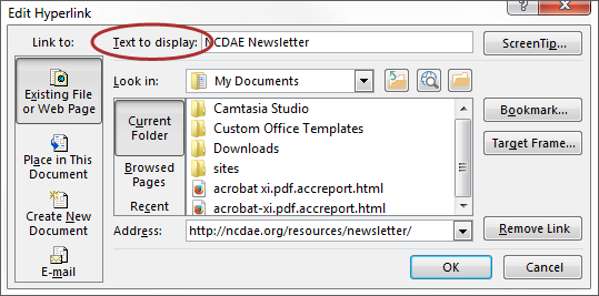 screenshot of Text to Display field located in the Hyperlink window.