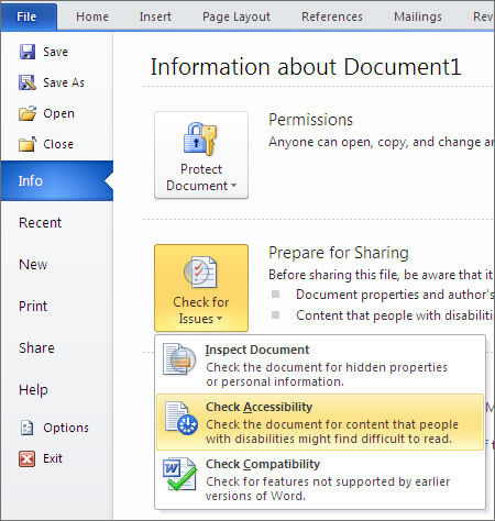 Screenshot of the Check Accessibility menu