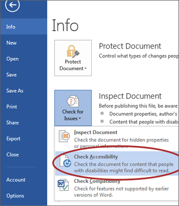 screenshot of Check Accessibility option under Info window.